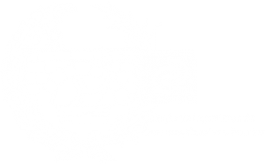 ColegioCaminos PVH seminar