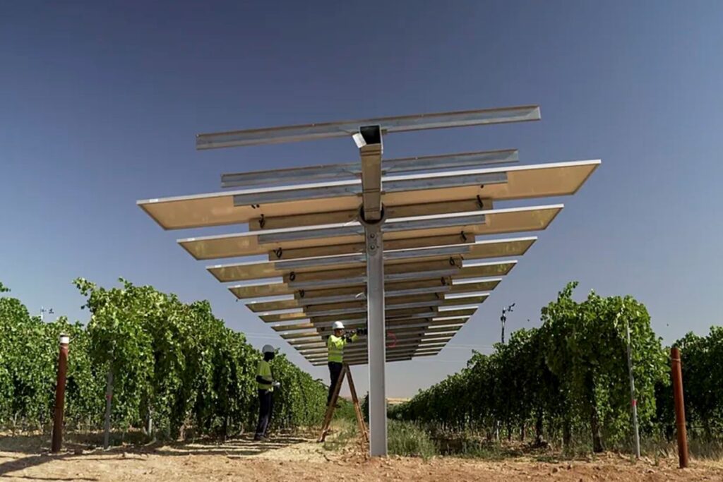 PVH supports agrivoltaics with their trackers