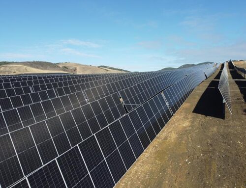 How PVH’s AxoneDuo Infinity Solar Tracker Boosts Solar Projects Efficiency and Resilience