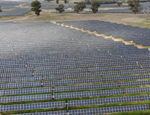 Navigating Growth: Key Trends and Challenges in the Australian Solar Tracker Market for 2025