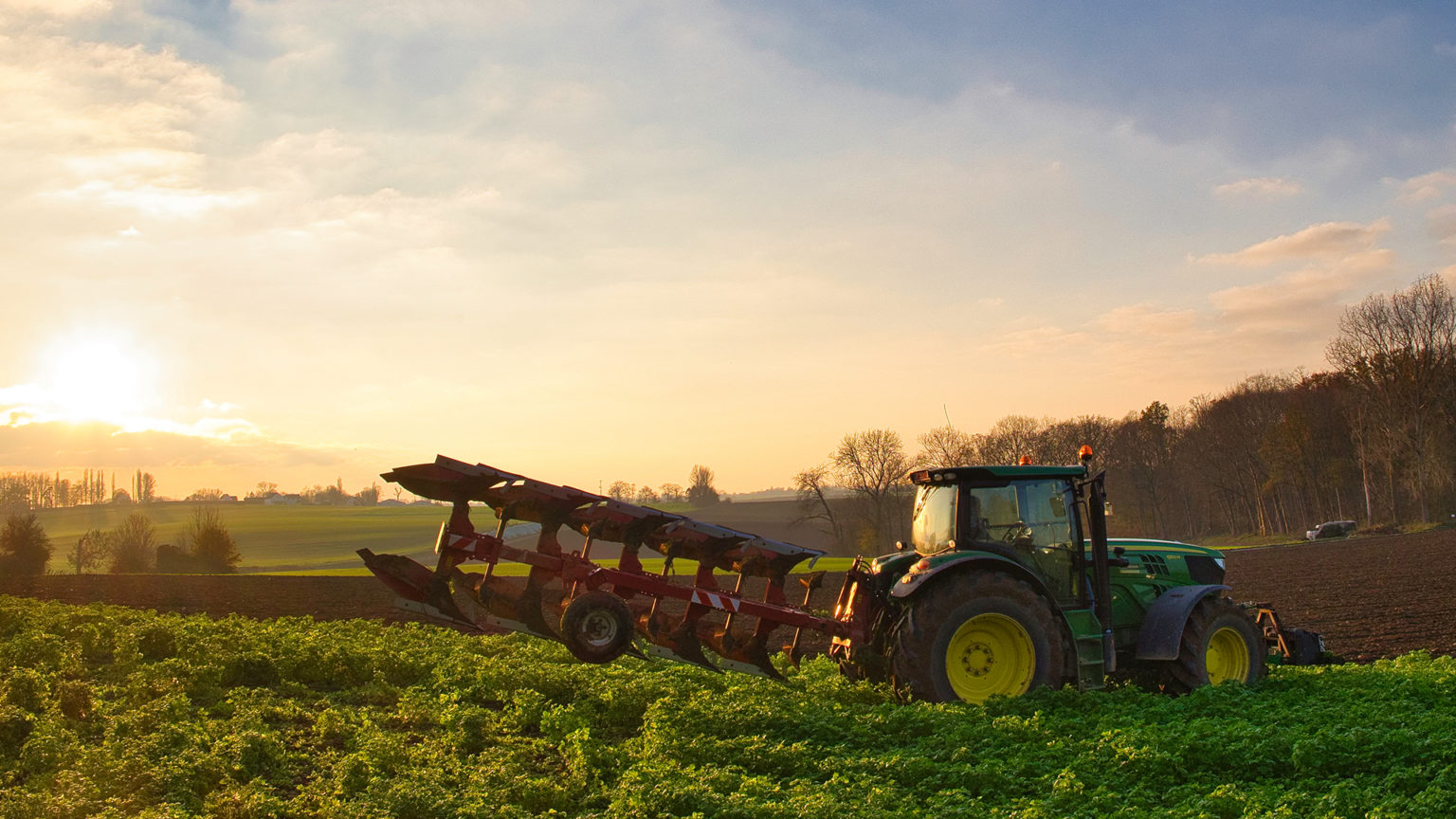 PV farm